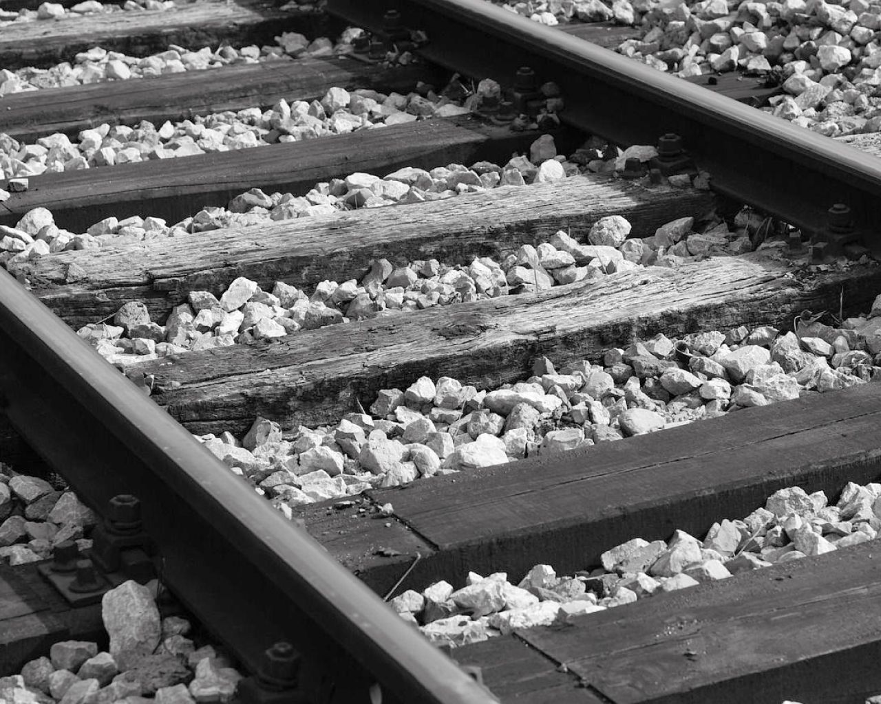 Piekarzanie  - ofiary Tragedii Górnośląskiej